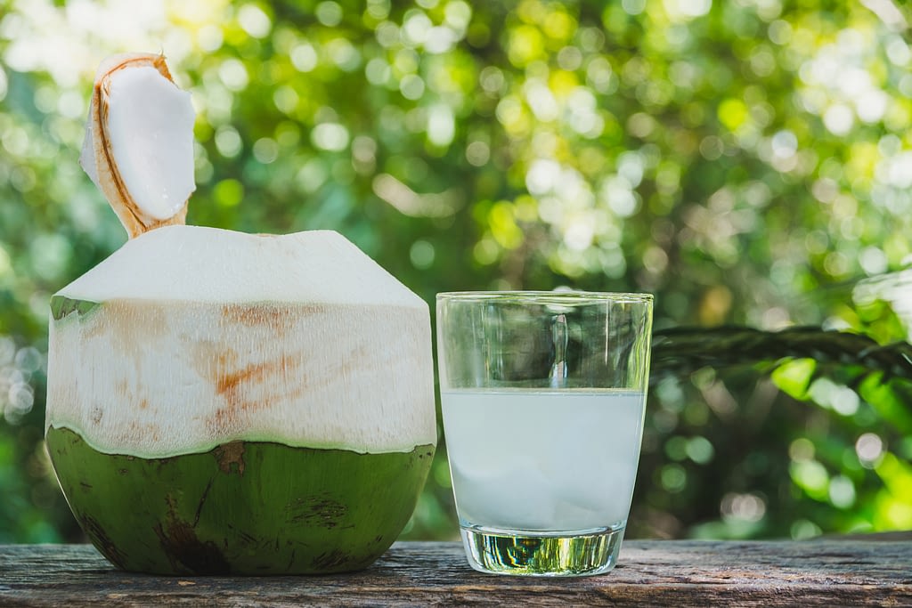 ¿Cómo se forma el agua de coco?