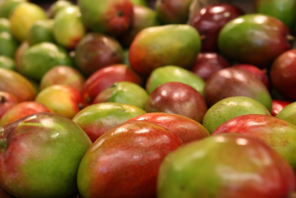 como se conserva el mango