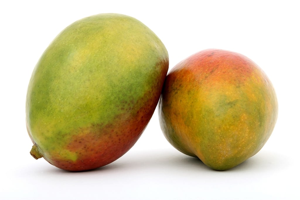 que es el mango