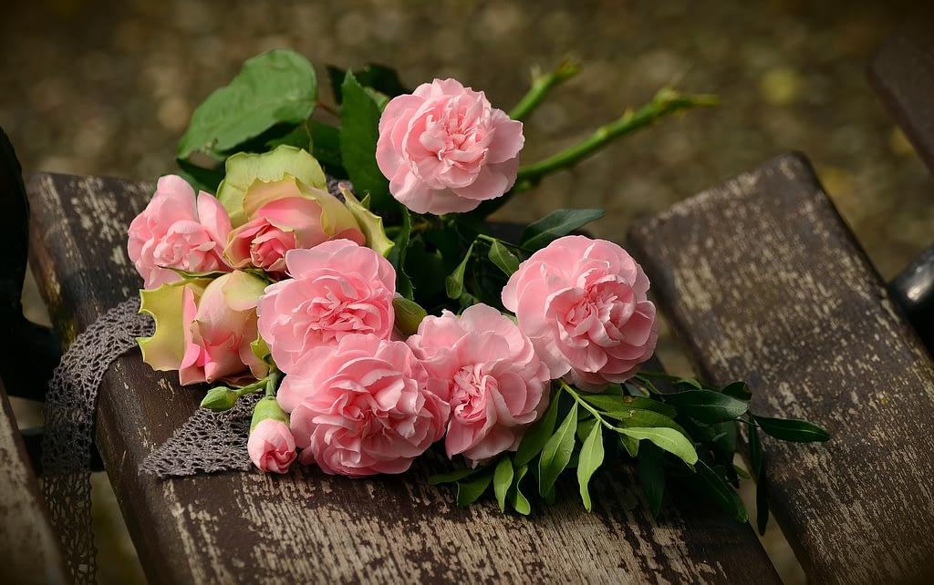 significado rosas de color rosa