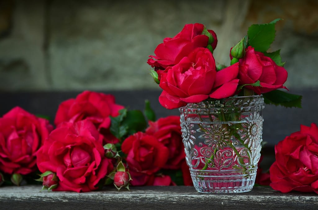 significado rosa roja